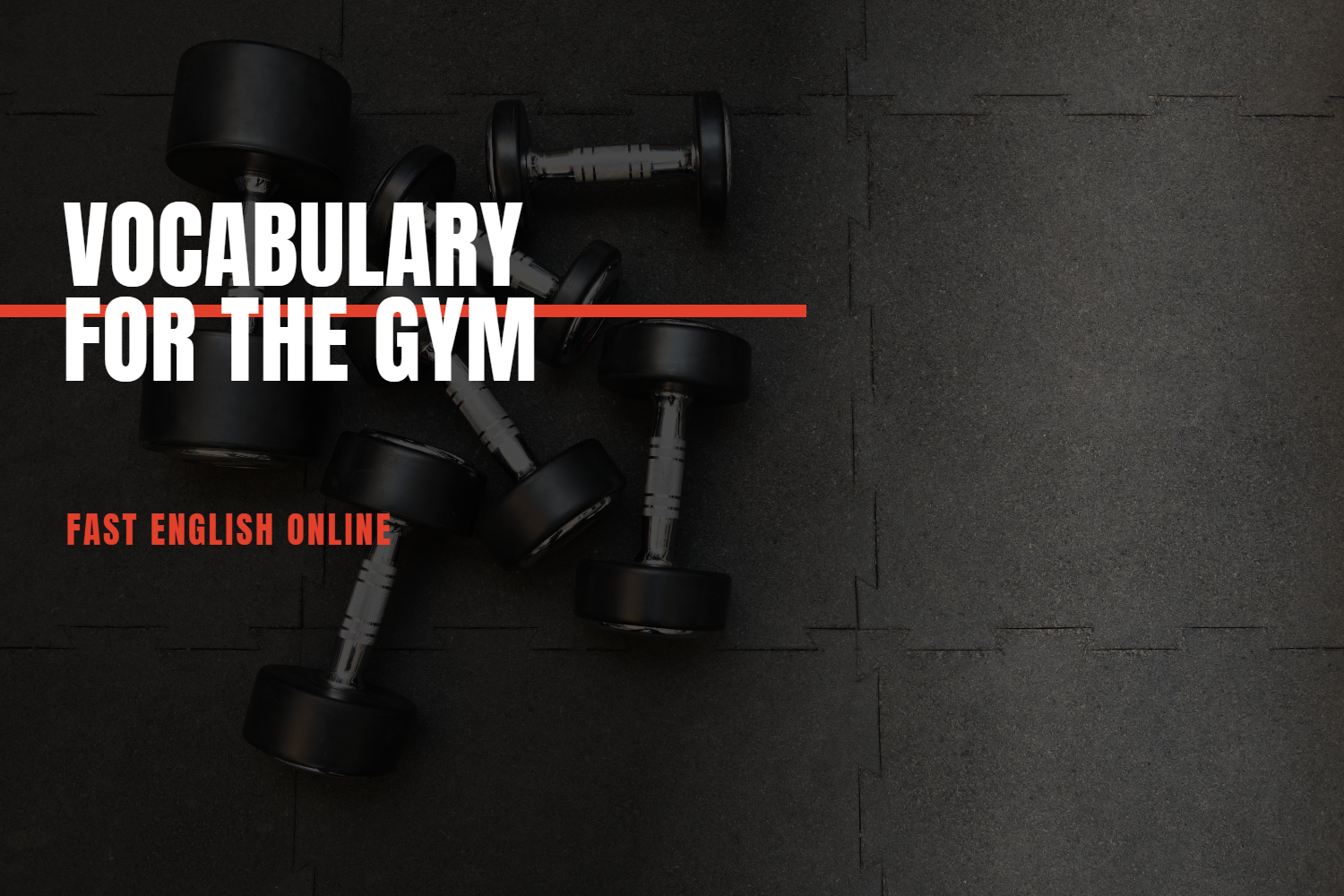 Vocabulary for The Gym
