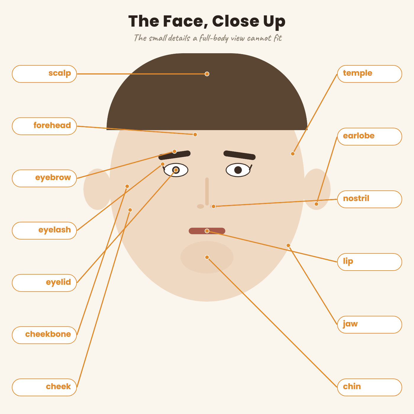 Labeled close-up diagram of the human face with English vocabulary for each feature